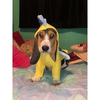 Flunder Hundekostüm Fleece Kleine Meerjungfrau Outfit Flunder Hundekostüm Fleece Kleine Meerjungfrau Outfit von Karisfancypups