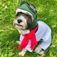 Red Baron Snoopy Hundekostüm The Peanuts Halloween Outfit von Karisfancypups