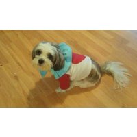 Weißes Kaninchen-Hundekostüm Alice Im Wunderland Halloween-Outfit von Karisfancypups