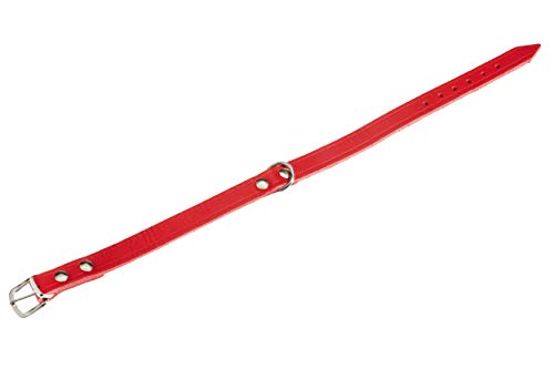 Karlie Halsband Rondo, genietet L: 42 cm B: 16 mm rot von Karlie