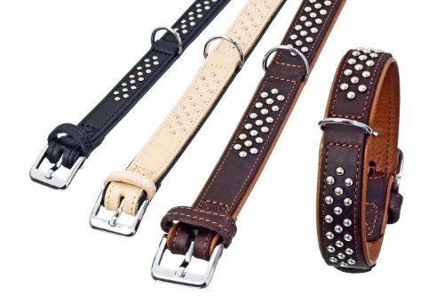 Karlie Halsband Rondo mit Rundkopfnieten L: 32 cm B: 22 mm natur Karlie Halsband Rondo mit Rundkopfnieten L: 32 cm B: 22 mm natur von Karlie