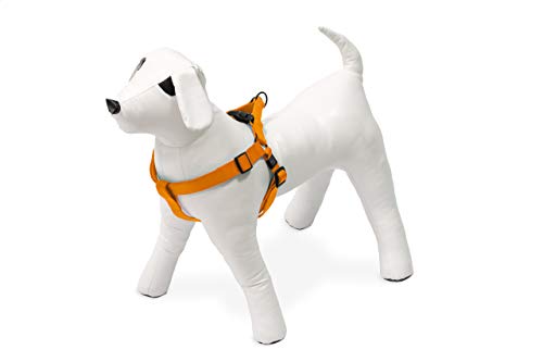 Karlie Art Sportiv Plus Geschirr 1-2-3 Step and Go neue universal Farben Mix and Match B: 25 mm Br um: 40 - 70 cm M orange Karlie Art Sportiv Plus Geschirr 1-2-3 Step and Go neue universal Farben Mix and Match B: 25 mm Br um: 40 - 70 cm M orange von Karlie