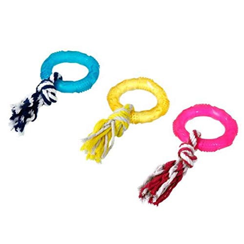 good4fun RING mit Seil TPR Ø 8cm #40230 good4fun RING mit Seil TPR Ø 8cm #40230 von Karlie