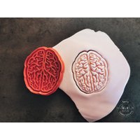 Gehirn Anatomie Keksausstecher I Brain Cookie Cutter von KarlsCookieCutters
