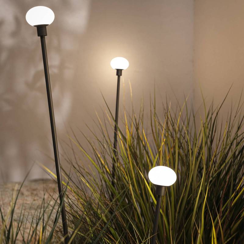 Karman LED-Wegeleuchte MINUIT, Höhe 210 cm, schwarz, IP65 von Karman