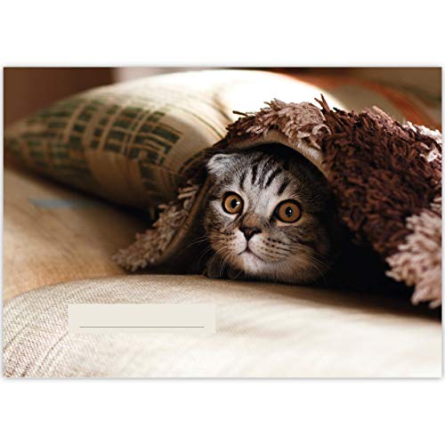 4 Katzen A3 Kinder Malblöcke "Peek-a-boo" • Malblock Zeichenblock Skizzen-block 25 Blatt blanko, kopfverleimt, holzfreies Qualitäts-Papier 100g/m²- für Schule, Basteln, Hobby von Kartenkaufrausch