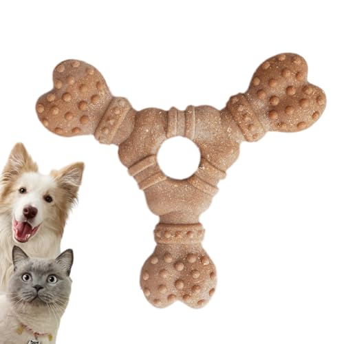 Hundekauspielzeug Für Starke Kauer,Robustes Kauspielzeug Für Kleine Hunde | Zahnreinigende Knochenform Zur Beschäftigung Für Unterwegs & Zuhause Hundekauspielzeug Für Starke Kauer,Robustes Kauspielzeug Für Kleine Hunde | Zahnreinigende Knochenform Zur Beschäftigung Für Unterwegs & Zuhause von Kasmole