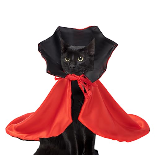 Vampir Katzenkostüm,Welpen Halloween Umhang | Lustiges Hunde Vampirkostüm Hexen Umhang für Welpen Kätzchen Halloween Partys Vampir Katzenkostüm,Welpen Halloween Umhang | Lustiges Hunde Vampirkostüm Hexen Umhang für Welpen Kätzchen Halloween Partys von Kasmole