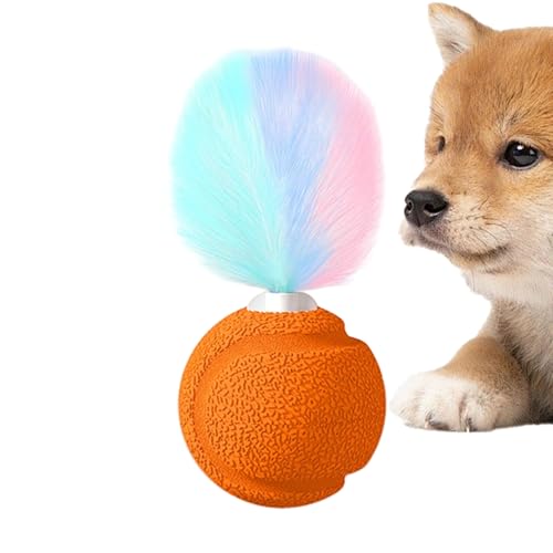 mit Federn, Katzenspielzeug – lustiger Ball für Kätzchen mit Sound | Spielerisches Übungsspielzeug für Kätzchen, drinnen und draußen, Anti-Langeweile, Bewegung mit Federn, Katzenspielzeug – lustiger Ball für Kätzchen mit Sound | Spielerisches Übungsspielzeug für Kätzchen, drinnen und draußen, Anti-Langeweile, Bewegung von Kasmole