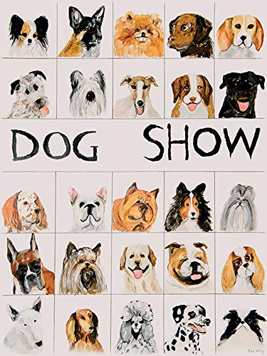 Kathryn McGovern Dog Show 30 x 40cm Canvas Print Leinwanddruck, Mehrfarbig, 30 x 40 cm von Kathryn McGovern