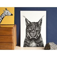 Poster Luchs A4, Tierillustration von KatjaRub