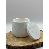 sternchendose Aus Raysin Art. Nr. 032 sternchendose Aus Raysin Art. Nr. 032 von KatjasDekoideenShop