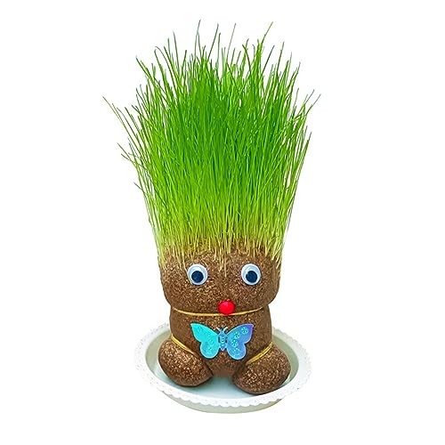 1 Set Mini Topfpflanze Lustige Wasserkultivierung DIY Boden Wachsende Gras Kopf Puppe Bonsai mit Tablett Wohnkultur Topfhandwerk von Katolang