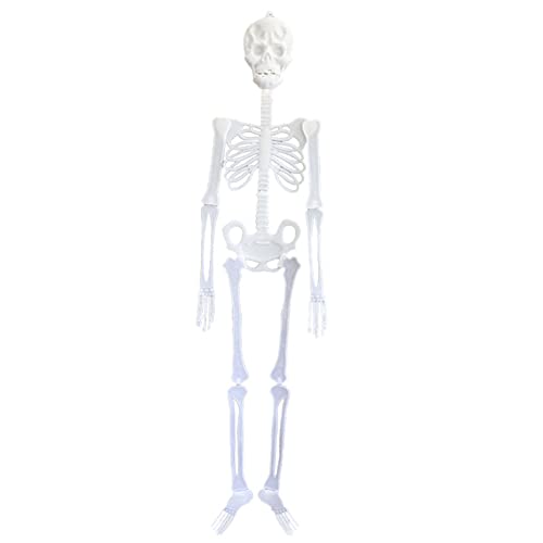 Katolang Halloween-Skelett-Dekoration, hängendes Skelett mit beweglichen/beweglichen Gelenken, leuchtender Kunststoff-Korpus für Horror-Festival-Ornamente, 150 cm von Katolang