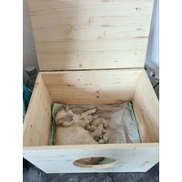 Katzenwurfbox Katzenwurfkiste Katzenhöhle Wurfbox Wurfkiste Katzen Naturholz von Katzenland