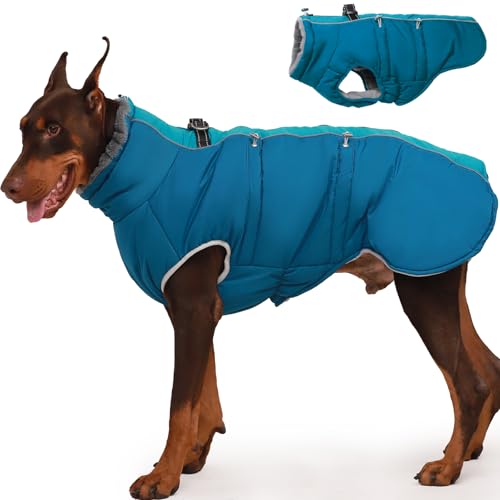 Katzinst Wintermantel Hund Gross, Wasserbeständig Reflektierend Hundemantel mit Geschirr und Rutschfester Reißverschluss, Warm Gefüttert und Kuschelig, Border Collie, Dalmatiner, Grün, XL Katzinst Wintermantel Hund Gross, Wasserbeständig Reflektierend Hundemantel mit Geschirr und Rutschfester Reißverschluss, Warm Gefüttert und Kuschelig, Border Collie, Dalmatiner, Grün, XL von Katzinst