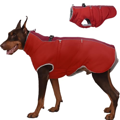 Katzinst Wintermantel Hund Gross, Wasserbeständig Reflektierend Hundemantel mit Geschirr und Rutschfester Reißverschluss, Warm Gefüttert und Kuschelig, Border Collie, Dalmatiner, Rot, XL Katzinst Wintermantel Hund Gross, Wasserbeständig Reflektierend Hundemantel mit Geschirr und Rutschfester Reißverschluss, Warm Gefüttert und Kuschelig, Border Collie, Dalmatiner, Rot, XL von Katzinst