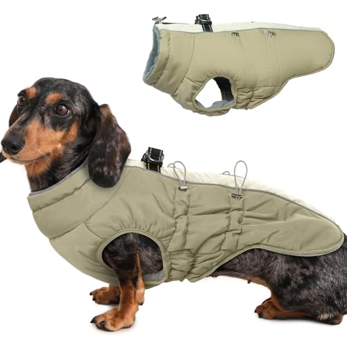 Katzinst Wintermantel Hund Gross, Wasserbeständig Reflektierend Hundemantel mit Geschirr und Rutschfester Reißverschluss, Warm Gefüttert und Kuschelig, Border Collie, Dalmatiner, Aprikose, XL Katzinst Wintermantel Hund Gross, Wasserbeständig Reflektierend Hundemantel mit Geschirr und Rutschfester Reißverschluss, Warm Gefüttert und Kuschelig, Border Collie, Dalmatiner, Aprikose, XL von Katzinst