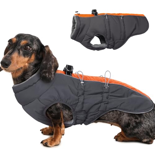 Katzinst Wintermantel Hund Gross, Wasserbeständig Reflektierend Hundemantel mit Geschirr und Rutschfester Reißverschluss, Warm Gefüttert und Kuschelig, Border Collie, Dalmatiner, Orange-Grau, XL Katzinst Wintermantel Hund Gross, Wasserbeständig Reflektierend Hundemantel mit Geschirr und Rutschfester Reißverschluss, Warm Gefüttert und Kuschelig, Border Collie, Dalmatiner, Orange-Grau, XL von Katzinst