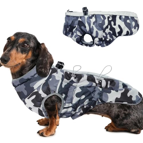 Katzinst Hunde Wintermantel Wasserbeständig, Verstellbarer Halsausschnitt, Hundemantel mit Geschirr und Durch Verstellbare Gummizüge, Hundebekleidung für Mittlere Hunde, Cocker Spaniel, Grau, M Katzinst Hunde Wintermantel Wasserbeständig, Verstellbarer Halsausschnitt, Hundemantel mit Geschirr und Durch Verstellbare Gummizüge, Hundebekleidung für Mittlere Hunde, Cocker Spaniel, Grau, M von Katzinst