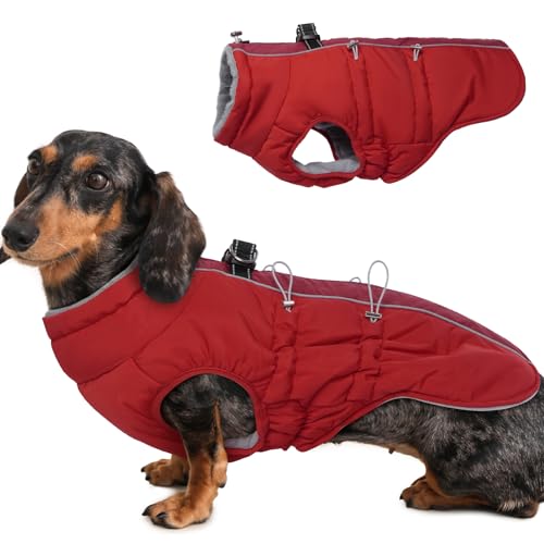 Katzinst Hunde Wintermantel Wasserbeständig, Verstellbarer Halsausschnitt, Hundemantel mit Geschirr und Durch Verstellbare Gummizüge, Hundebekleidung für Mittlere Hunde, Beagle, Rot, M von Katzinst