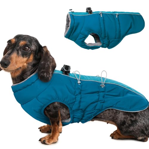 Katzinst Hunde Wintermantel Wasserbeständig, Verstellbarer Halsausschnitt, Hundemantel mit Geschirr und Durch Verstellbare Gummizüge, Hundebekleidung für Mittlere Hunde, Cocker Spaniel, Grün, M Katzinst Hunde Wintermantel Wasserbeständig, Verstellbarer Halsausschnitt, Hundemantel mit Geschirr und Durch Verstellbare Gummizüge, Hundebekleidung für Mittlere Hunde, Cocker Spaniel, Grün, M von Katzinst