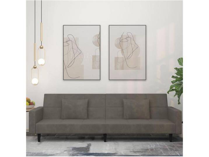 Schlafsofa 2-Sitzer mit 2 Kissen Dunkelgrau Samt von Kauf-Unique Marketplace