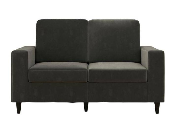 Sofa 2 Sitze in Samtgrau Sofa 2 Sitze in Samtgrau von Kauf-Unique Marketplace