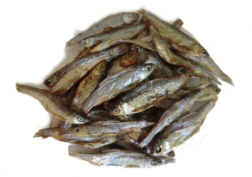 Kaureks Natur Hundeleckerlies, Omena Süßwasserfisch 3x150g Trockenfisch Für Hunde, wie Sprotten, Omega 3 Fettsäuren, Hundesnack, Hundefutter, Kauartikel von Kaureks Natur Hundeleckerlies