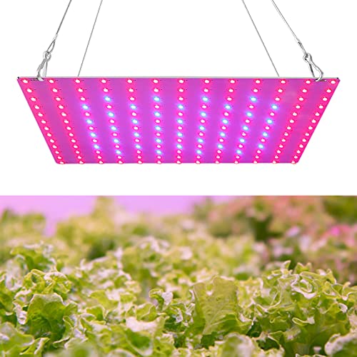 Kavolet LED Grow Light Rot Blau Vollspektrum 81LEDs Pflanzenlampe LED Panel Wachstumslampen für Pflanzen, Pflanzenlicht für Hydroponisches Gewächshaus Zimmerpflanze Wachstum von Kavolet