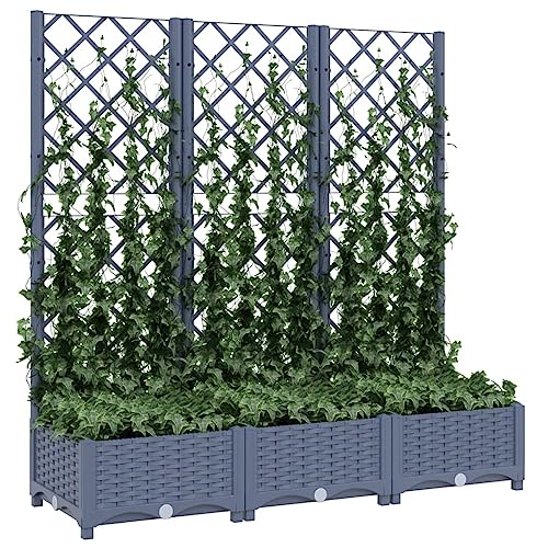Kavolet Pflanzkübel mit Spalier, Gartenspalier, Hochbeet mit Rankgitter, Blumenkübel Rankhilfe, 3 Töpfen Pflanzkübel Pflanzkasten, 120x40x121,5 cm PP von Kavolet