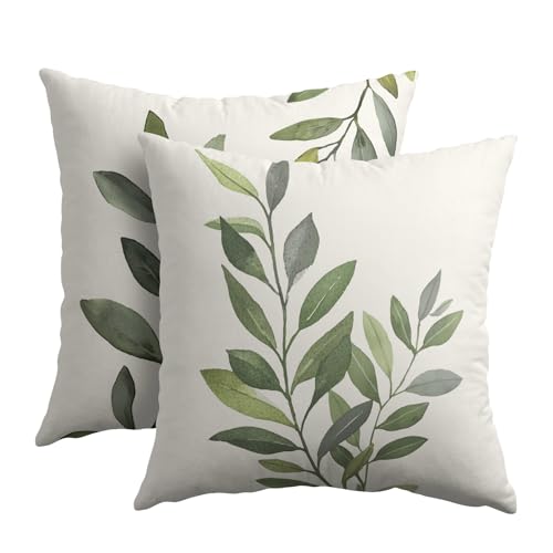 Kawani Kissenbezug mit Olivenblättern, rustikales grünes Blatt, Grau, quadratisch, Baumwollleinen, Kissenbezug für Couch, Sofa, Bett, Bank, Veranda, Bauernhaus, Heimdekoration, 55,9 x 55,9 cm Kawani Kissenbezug mit Olivenblättern, rustikales grünes Blatt, Grau, quadratisch, Baumwollleinen, Kissenbezug für Couch, Sofa, Bett, Bank, Veranda, Bauernhaus, Heimdekoration, 55,9 x 55,9 cm von Kawani