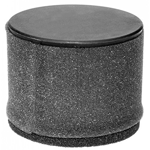 Kawasaki 11029-0019 Luftfilter von Kawasaki