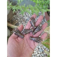 5 Stück - Alte Süsse Kleine Hand Vintage Türgriffe Antike Massiv Messing Schublade Knäufe von KayeeEthnic