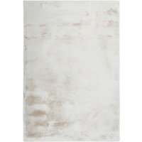 Kayoom Hochflorteppich Venezuela - Caracas Creme creme B/L: ca. 60x110 cm von Kayoom