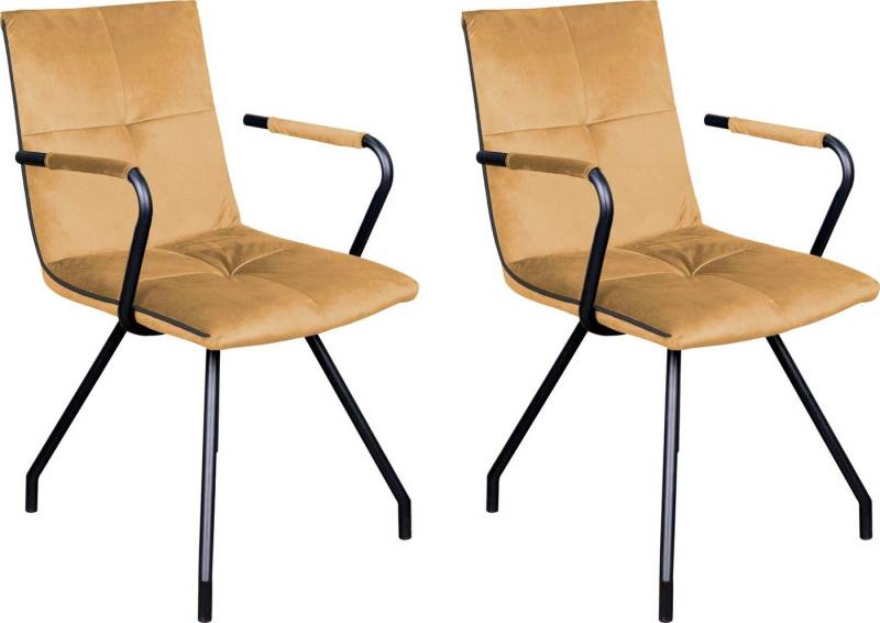 Kayoom Polsterstuhl Stuhl Eaden 225 2er-Set, samtiger Stoffbezug, Paspel aus Kunstleder (Set, 2 St), stilvoll, pflegeleicht, zeitgemäße Farbgebung, samtiger Stoffbezug von Kayoom