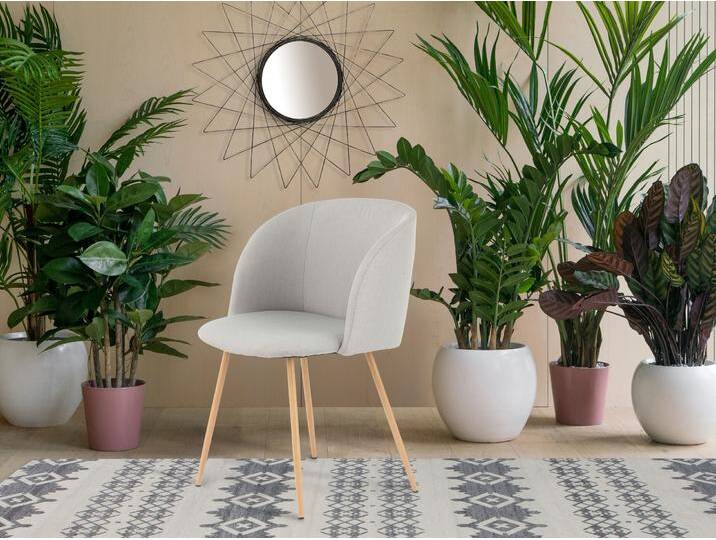 Polsterstuhl KAYOOM Stuhl Celina 110 2er-Set Grau,samtweicher Bezug in moderner Farbgebung , grau (hellgrau), B:54cm H:84cm T:56cm, Sitz: Stoff 100% Polyester / Gestell: Stahl in Holzoptik, Stühle, samtweicher Bezug, bequem, zeitlos, Hingucker in jedem Wohnbereich von Kayoom