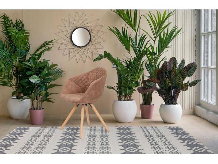 Polsterstuhl KAYOOM Stuhl Chadwick 110 2er-Set, stilvolles Design, in Naturfarben gehalten , braun, B:59cm H:82cm T:55cm, Sitz: Stoff 100% Polyester / Gestell: Stahl / Beine: Buchenholz, Stühle, bequem, Holzbeine, weich gepolstert, stilvolles Design Polsterstuhl KAYOOM Stuhl Chadwick 110 2er-Set, stilvolles Design, in Naturfarben gehalten , braun, B:59cm H:82cm T:55cm, Sitz: Stoff 100% Polyester / Gestell: Stahl / Beine: Buchenholz, Stühle, bequem, Holzbeine, weich gepolstert, stilvolles Design von Kayoom