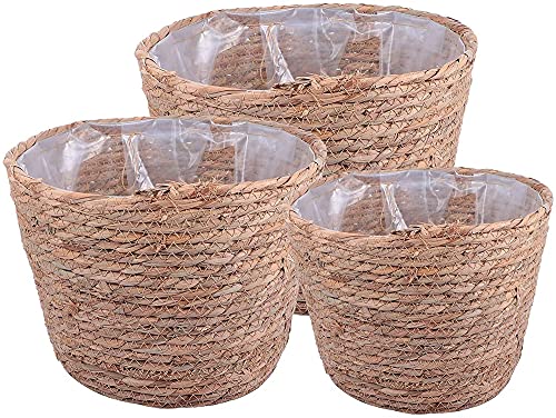 kazeRyu 3-teiliges Handgefertigtes Herbarium-Pflanzgefäß-Set – Geflochtene Blumenkörbe Aus Weidenrattan for Pflanzen Und Aufbewahrung von KazeRyu