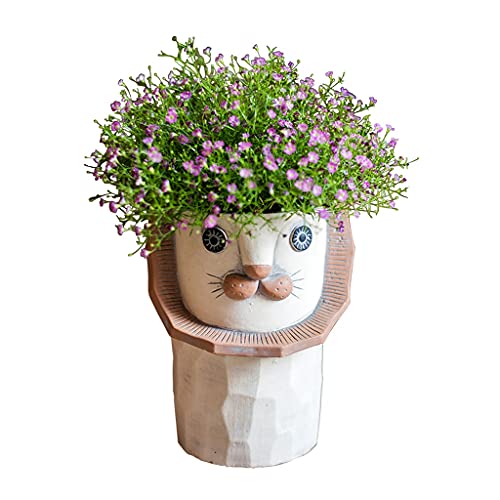 kazeRyu Löwenkopf-Blumentopf – Art-Deco-Pflanzgefäß for Schreibtischdekoration, Sukkulenten Und Kreative Geschenke(14 * 22.5cm) von KazeRyu