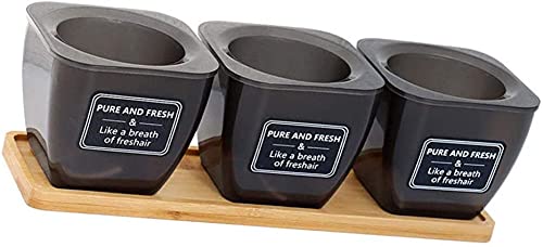 kazeRyu Sukkulenten-Pflanzgefäß-Set for Drinnen Und Draußen – Blumentöpfe Mit Tablett for Zuhause, Büro Und Als Fensterdekoration von KazeRyu