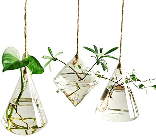 kazeRyu Unregelmäßiges Geometrisches Hängevasen-Set Aus Glas – 3-teilig Mit Schnüren for Blumen-/Wasserpflanzen kazeRyu Unregelmäßiges Geometrisches Hängevasen-Set Aus Glas – 3-teilig Mit Schnüren for Blumen-/Wasserpflanzen von KazeRyu