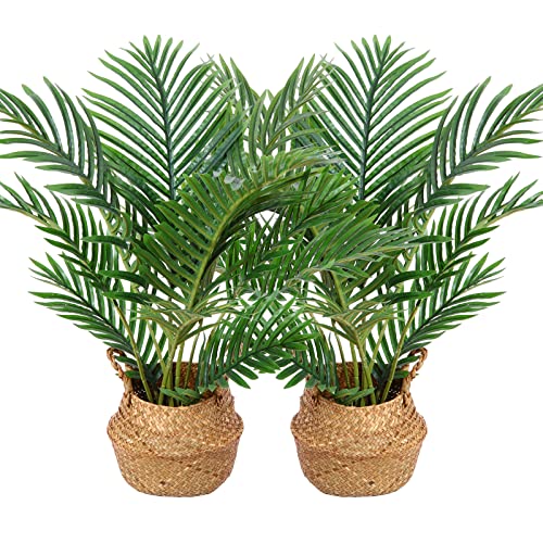Kazeila Kunstpflanzen Groß 60cm Künstliche Palme Pflanzen Fake Pflanzen Plastik Kunstpalme Pflanze Deko für Home Wohnzimmer Schlafzimmer(2PACK) von Kazeila