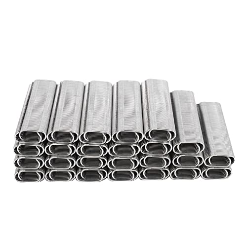 Kcvzitrds 2500 Stück Serie C-Typ 20 mm Käfige für Tiere Nägel Zaun Hog Käfig Ring Sofa Käfig M Nail Set Schrauben Installiert Nagel Befestigung Material Kcvzitrds 2500 Stück Serie C-Typ 20 mm Käfige für Tiere Nägel Zaun Hog Käfig Ring Sofa Käfig M Nail Set Schrauben Installiert Nagel Befestigung Material von Kcvzitrds