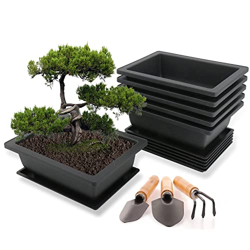 Kdtoll Bonsai Schale mit Untersetzer, 6 Stücke Bonsai Topf, Bonsai Trainingstöpfe aus Kunststoff, 23x17x8cm Blumentopf Rechteckig Set, Plastik Bonsaischale mit Tablett und Mini Gartenwerkzeug Set von Kdtoll