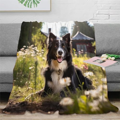 KeAan Border Collie Niedliches Hündchen Decke Kuscheldecke Plüschdecke Printdesign Couchdecke MikrofaserDecke 50x60inch(127x152cm) von KeAan