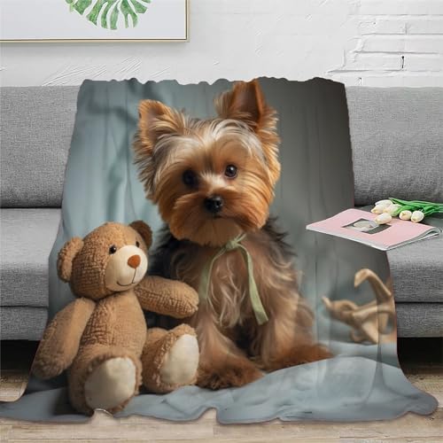 KeAan Yorkshire Terrier Niedliches Hündchen Decke, Weiches Plüsch-Flanell-Fleece-Überwurf, Decken Für Couch, Sofa, Bett, Wohnzimmer 60x80inch(150x200cm) von KeAan
