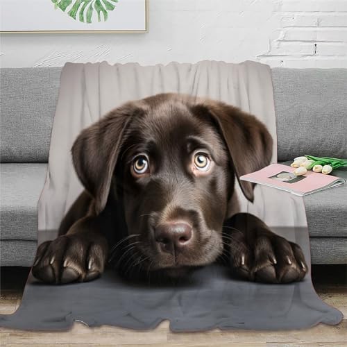 Labrador Hund Decke Super Weiche Leichte Flanell Fleece Niedliches Hündchen Decke Für Bett Couch Sofa, Ganzjährig Warme Kuschelige Plüsch Mikrofaser Decke 60x80inch(150x200cm) von KeAan