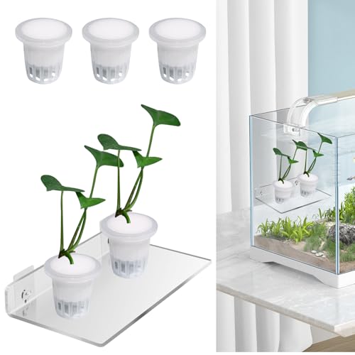 KeaJuidy 6 Stück Aquarium Pflanzenringe mit Saugnapf und Aufbewahrungsbrett Wasserpflanzen Fixierring Aquarium Blumentopf für Aquarienpflanzen Dekoration von KeaJuidy