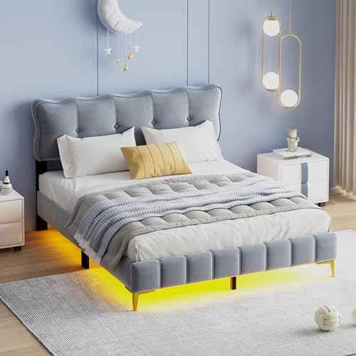 Kebnor Polsterbett, Jugendbett, Doppelbett mit LED-Leuchten mit Rückenlehne mit Lattenrost Samtstoff hohe Metallfüße(Matratze Nicht im Lieferumfang enthalten) (Grau, 160 x 200 cm) von Kebnor